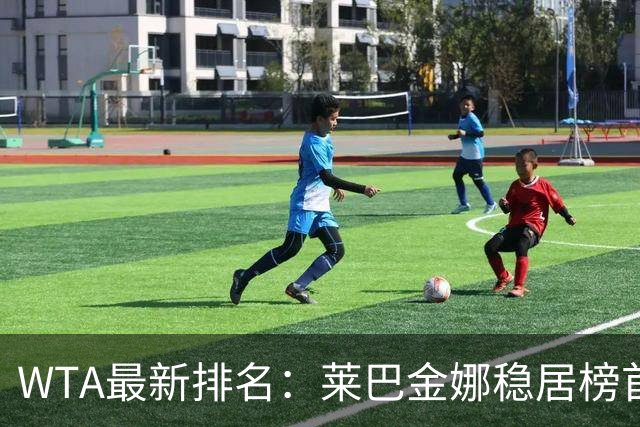 WTA最新排名：莱巴金娜稳居榜首，武网胜者跃升至第11位